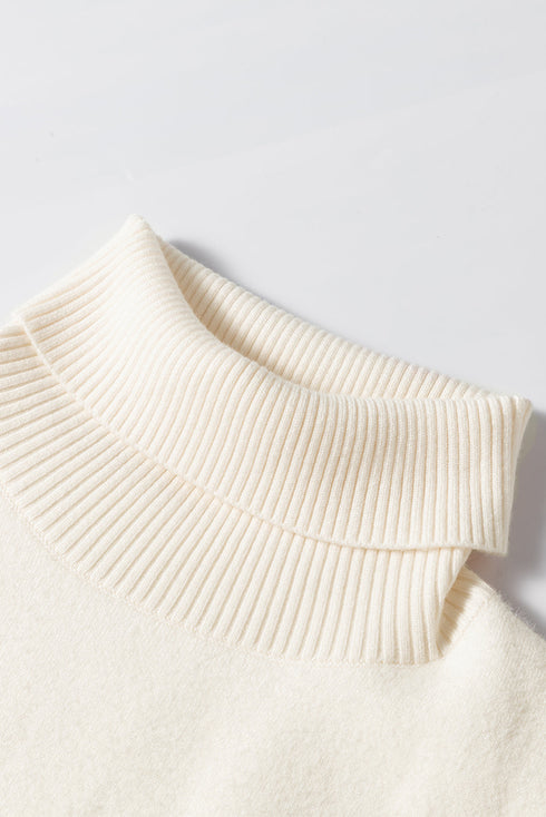 'Romilda' Turtleneck Knit Sweater - Celes Fashion